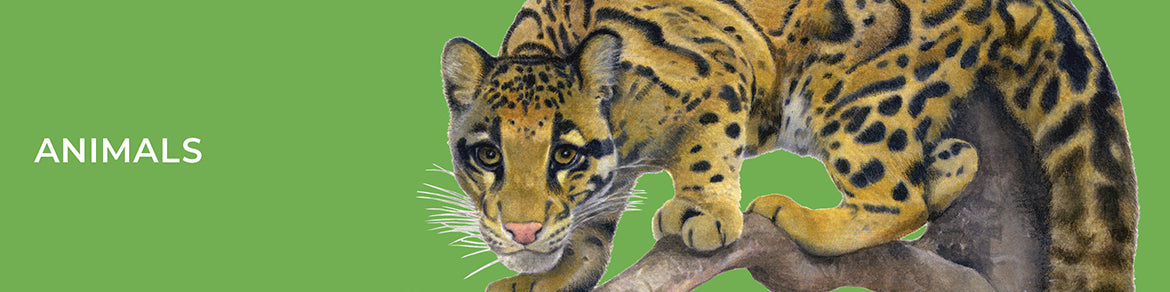Animals