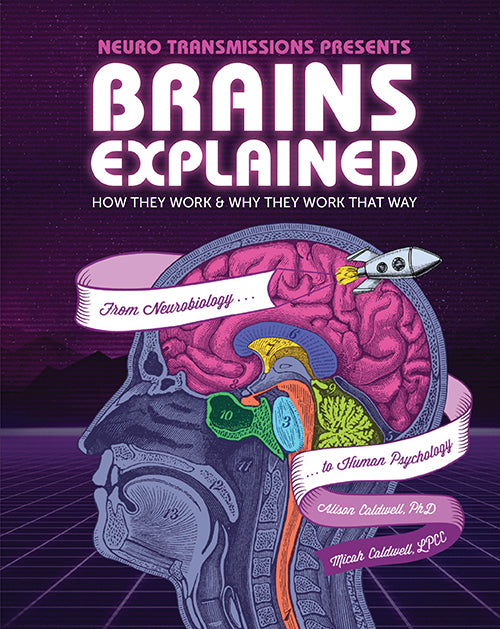 Brains Explained: How They Work & Why They Work that Way