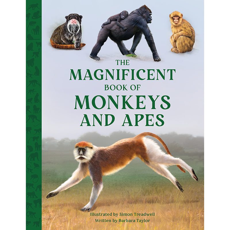 The Magnificent Book of Monkeys and Apes