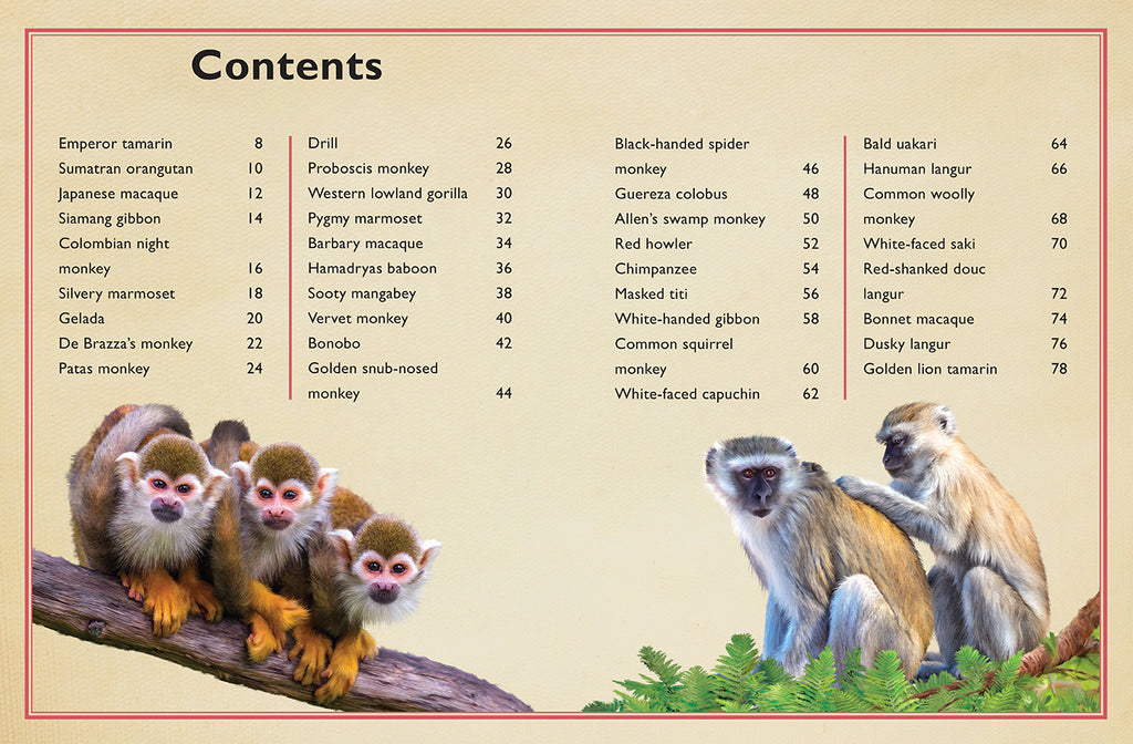 The Magnificent Book of Monkeys and Apes