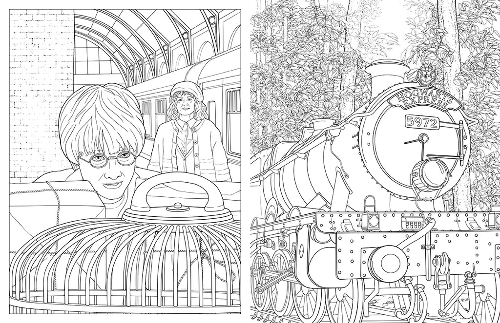 Harry Potter: Travels Through the Wizarding World: An Official Coloring Book