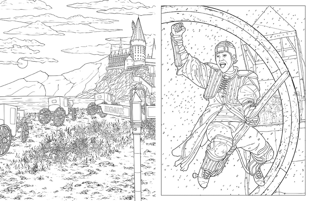 Harry Potter: Travels Through the Wizarding World: An Official Coloring Book