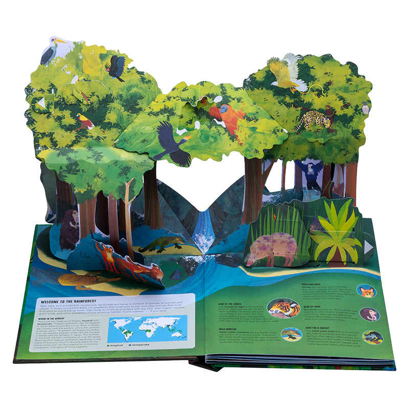 Paws, Claws, and Snapping Jaws Pop-Up Book (Reinhart Pop-Up Studio)
