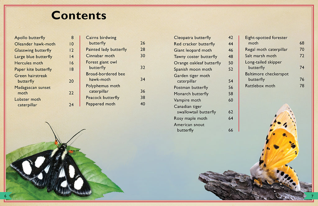 The Magnificent Book of Butterflies & Moths