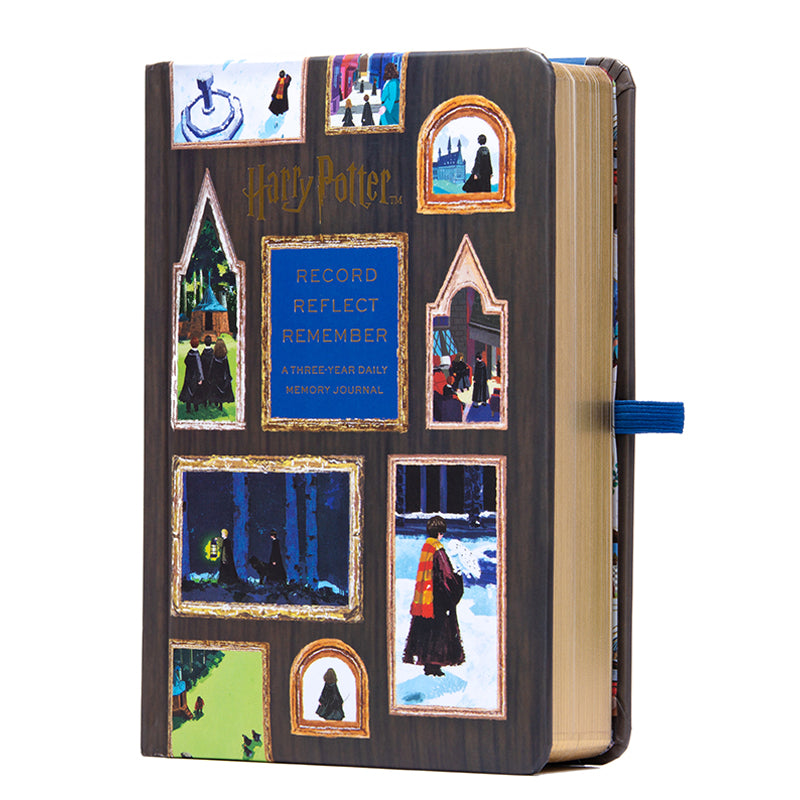 Harry Potter: Record, Reflect, Remember