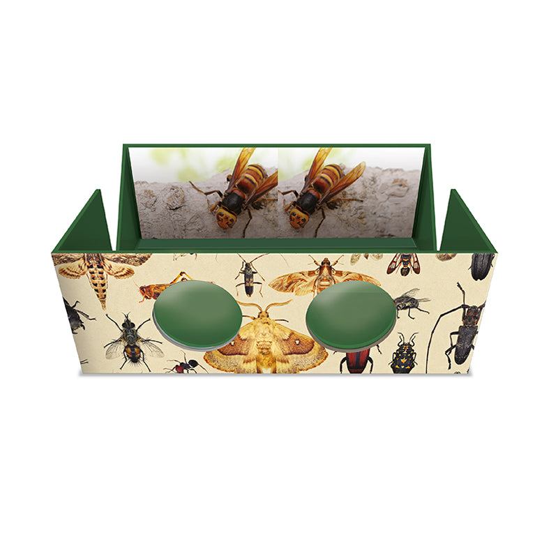 The Magnificent Box of Bugs and Insects – 3D Viewer