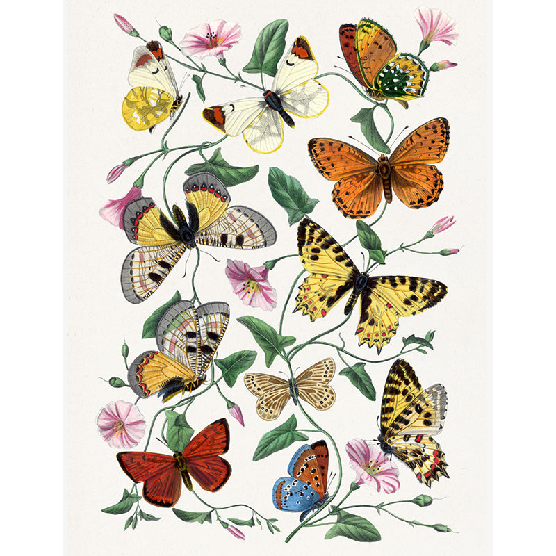 Vintage Cottage Wall Collage Kit