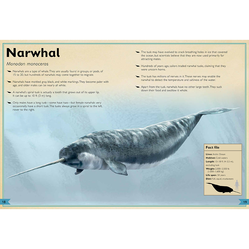 The Magnificent Book of Ocean Creatures