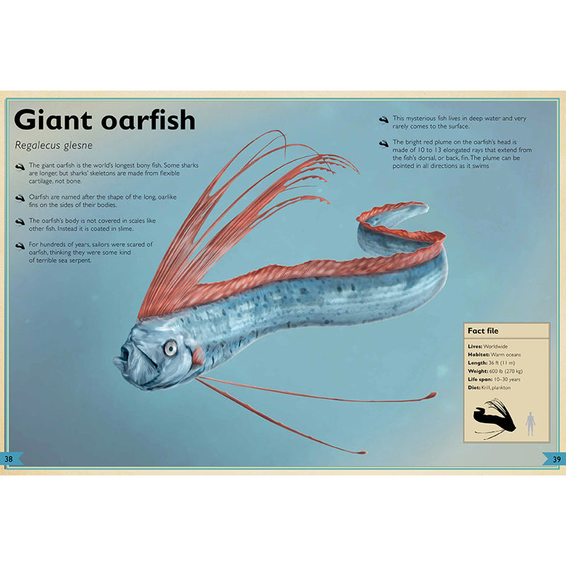 The Magnificent Book of Ocean Creatures