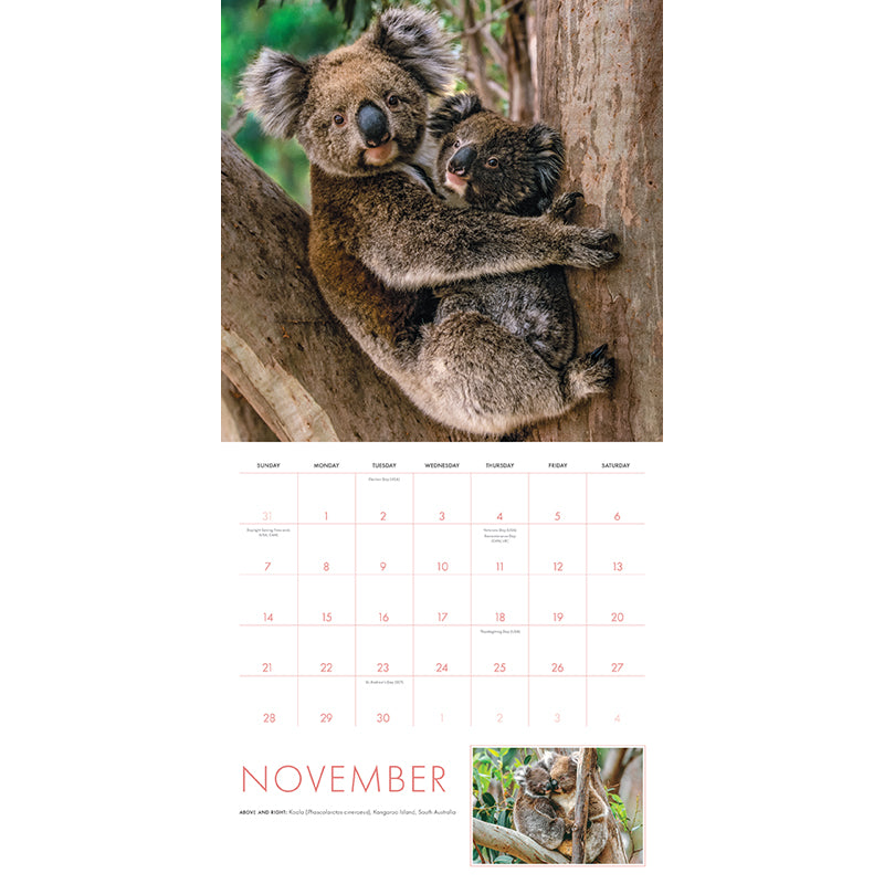 2027 Baby Animals Wall Calendar