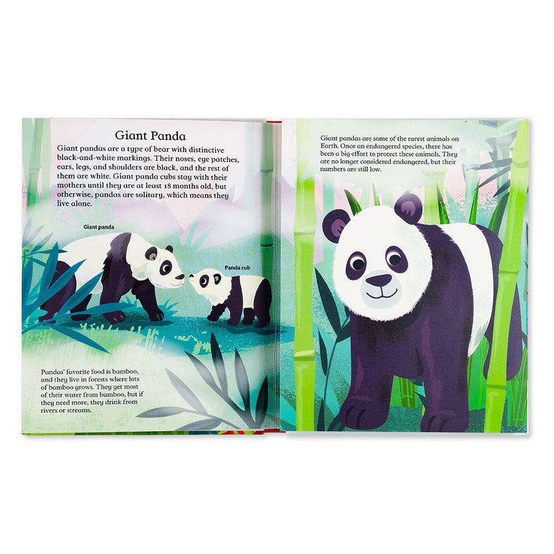 Pop-Up and Discover: Animals