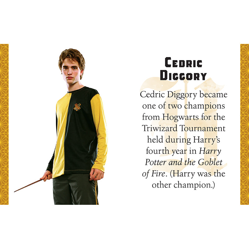 Harry Potter: Hufflepuff (Tiny Book)