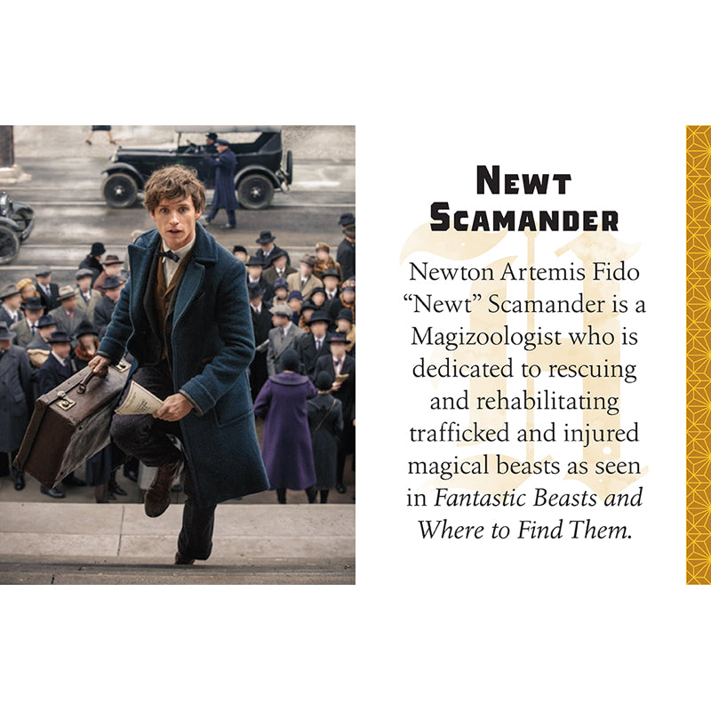 Harry Potter: Hufflepuff (Tiny Book)