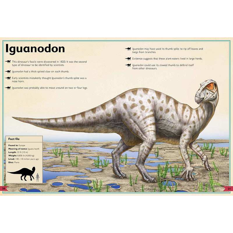 The Magnificent Book of Dinosaurs and Other Prehistoric Creatures