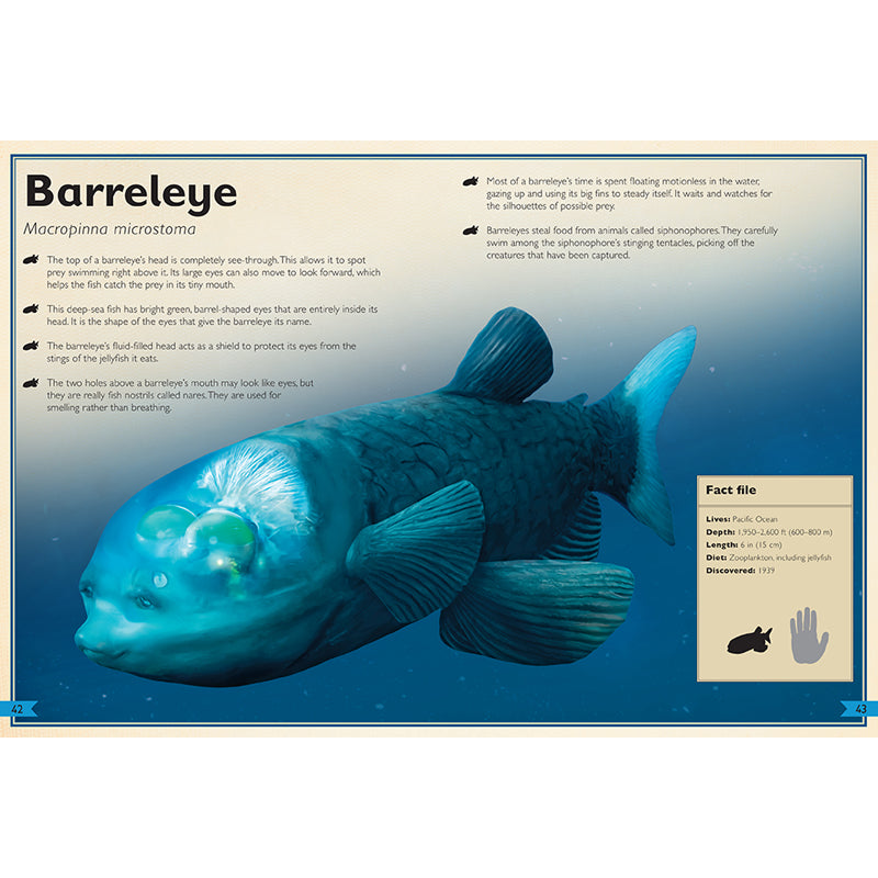 The Magnificent Book of Creatures of the Abyss