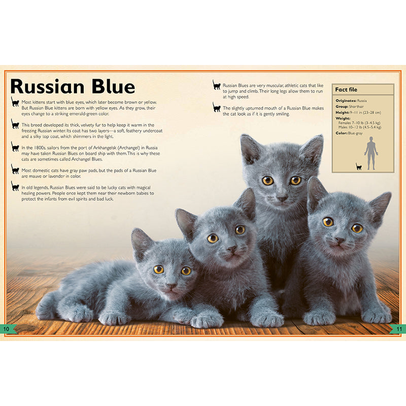 The Magnificent Book of Cats