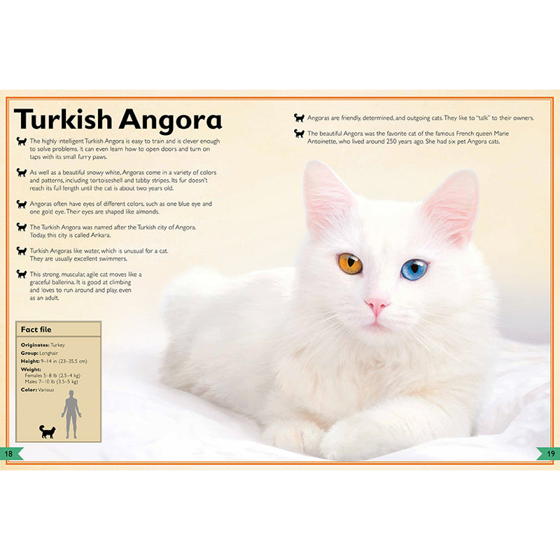 The Magnificent Book of Cats