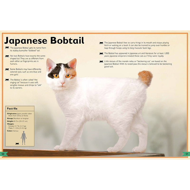The Magnificent Book of Cats
