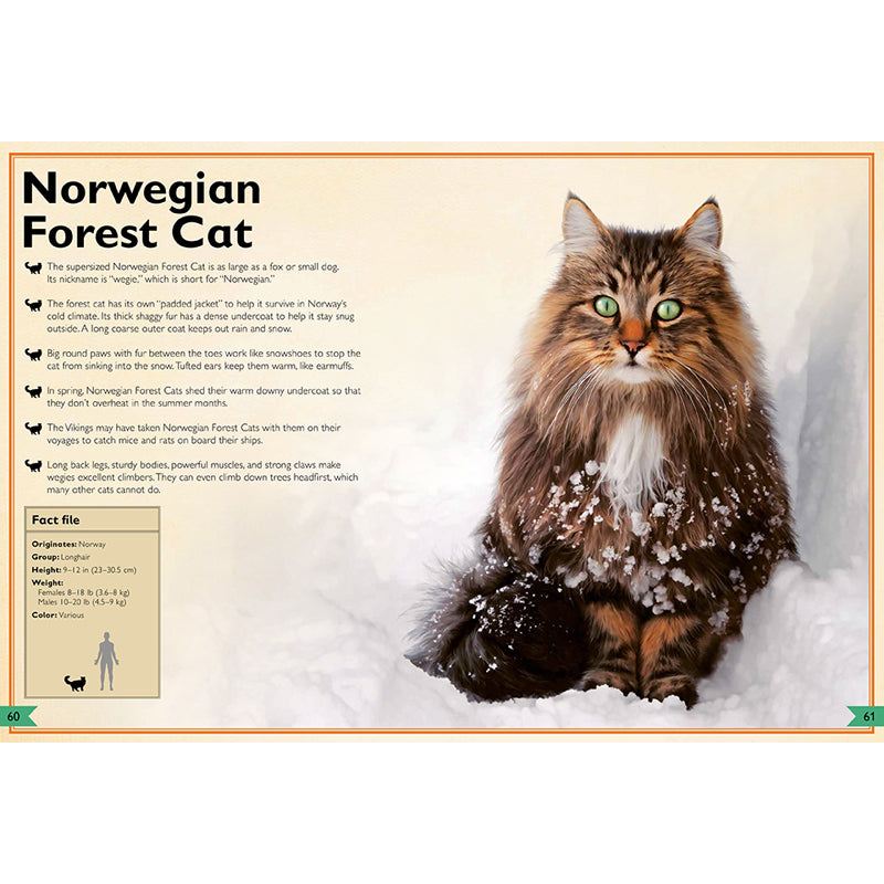 The Magnificent Book of Cats