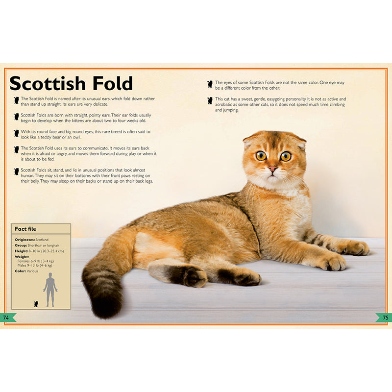 The Magnificent Book of Cats