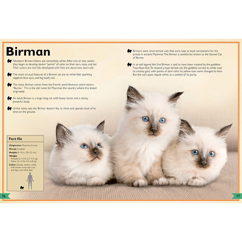 The Magnificent Book of Cats
