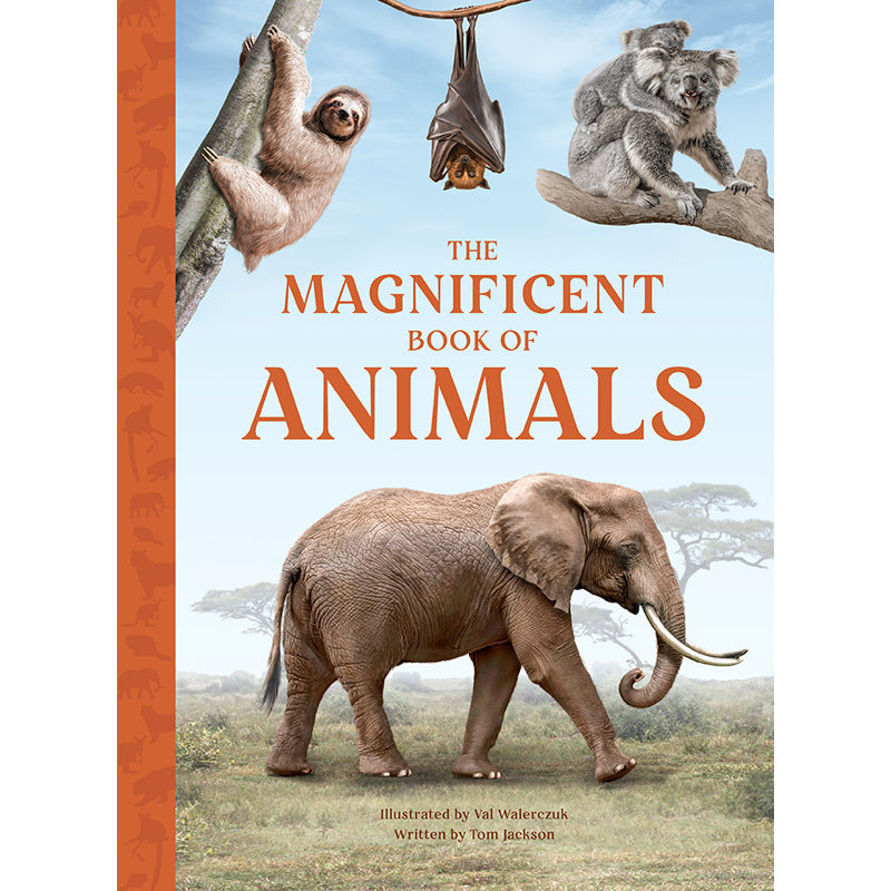 The Magnificent Book of Animals