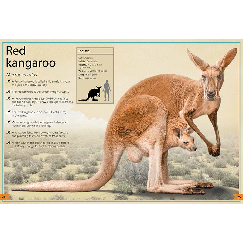 The Magnificent Book of Animals