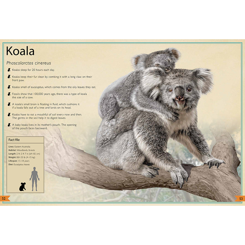The Magnificent Book of Animals