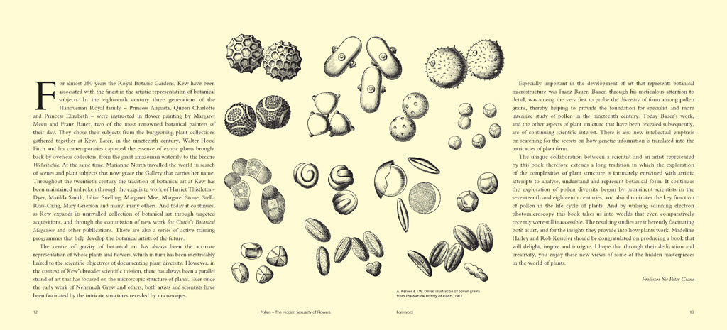 Pollen