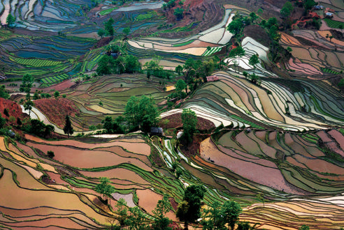 Art Wolfe: Extraordinary Earth Blank Boxed Notecards