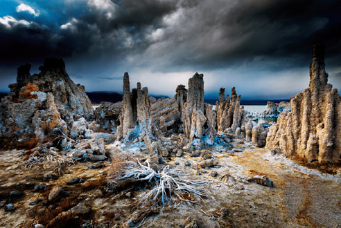 Art Wolfe: Extraordinary Earth Blank Boxed Notecards
