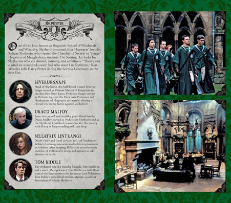 Harry Potter: Slytherin Ruled Pocket Journal