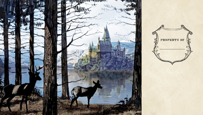 Harry Potter: Hogwarts Ruled Pocket Journal [Reformat]