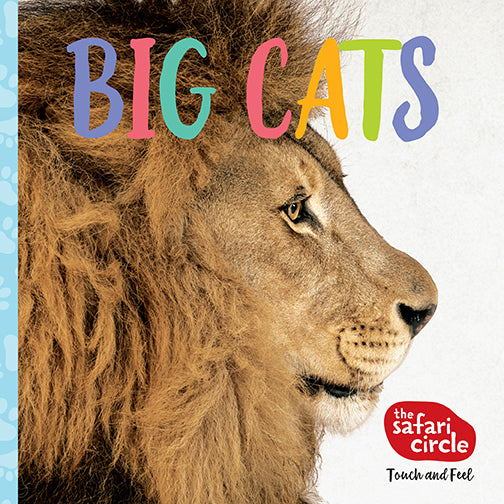 The Safari Circle: Big Cats