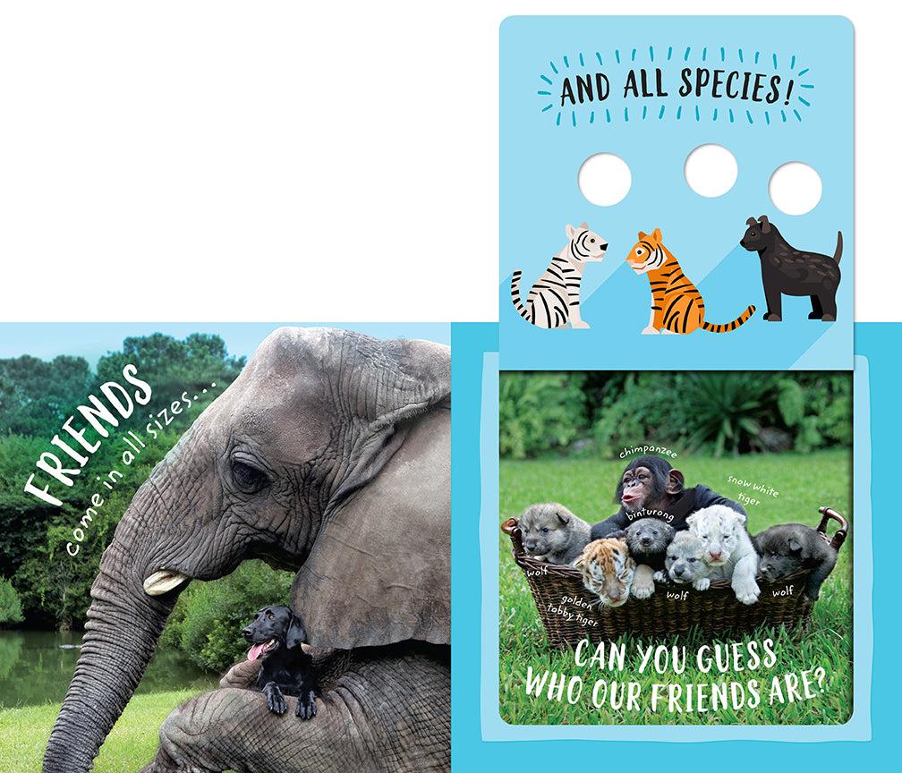 The Safari Circle: Animal Pals
