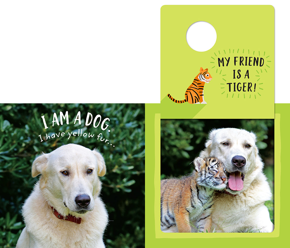 The Safari Circle: Animal Pals