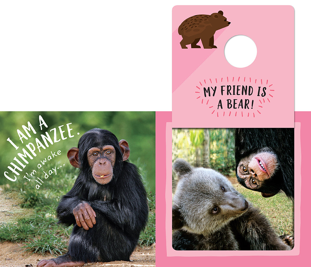 The Safari Circle: Animal Pals