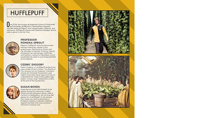 Harry Potter: Hufflepuff Ruled Pocket Journal