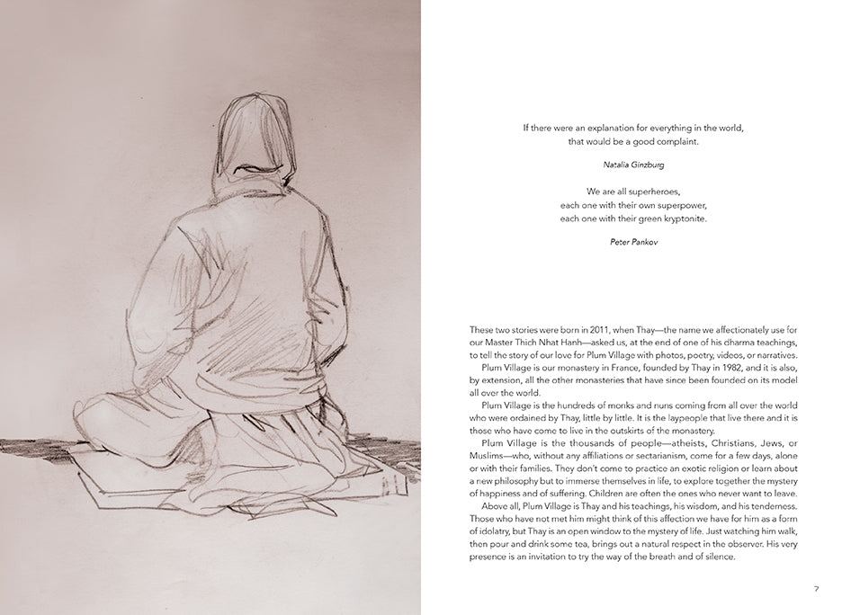 Plum Village: An Artist's Journey