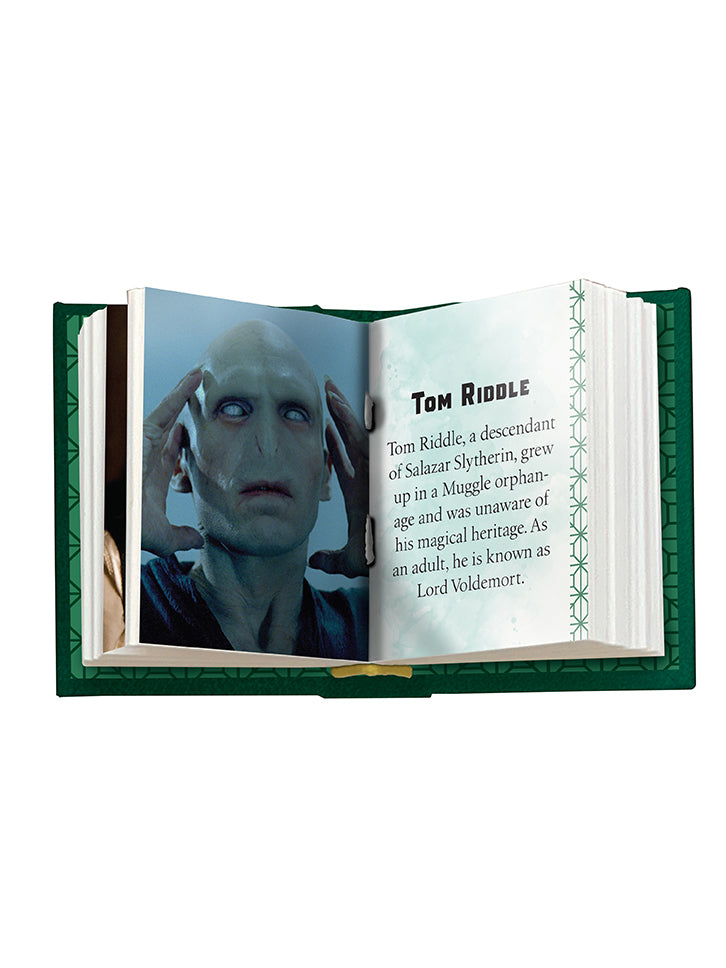 Harry Potter: Slytherin (Tiny Book)