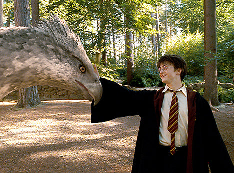 Harry Potter and the Prisoner of Azkaban Enchanted Postcard Book