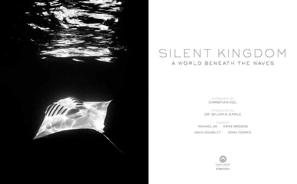 Silent Kingdom
