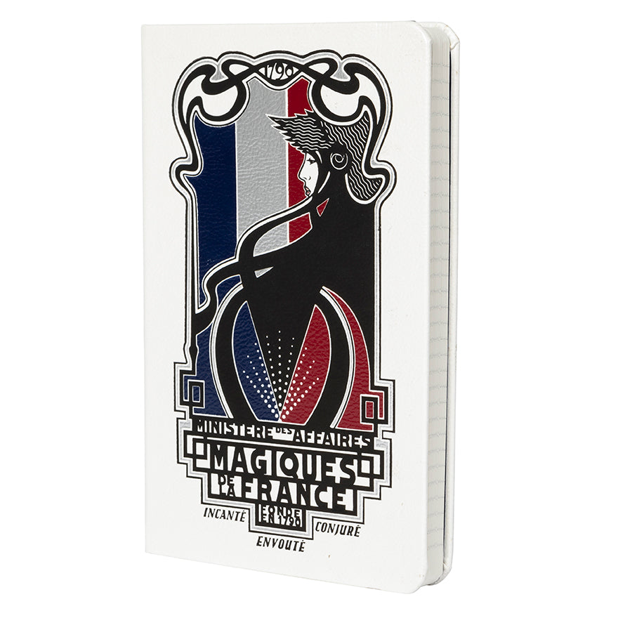 Fantastic Beasts: The Crimes of Grindelwald: Ministère des Affaires Magiques Hardcover Ruled Journal