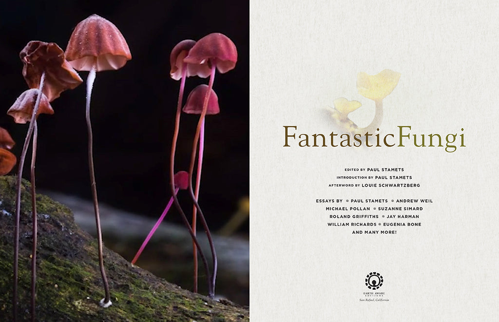 Fantastic Fungi