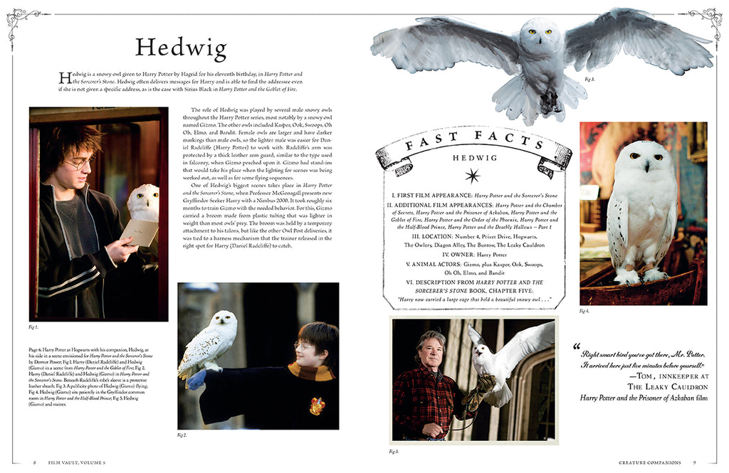 Harry Potter: Film Vault: Volume 5