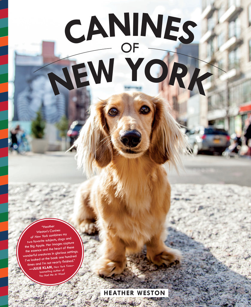Canines of New York