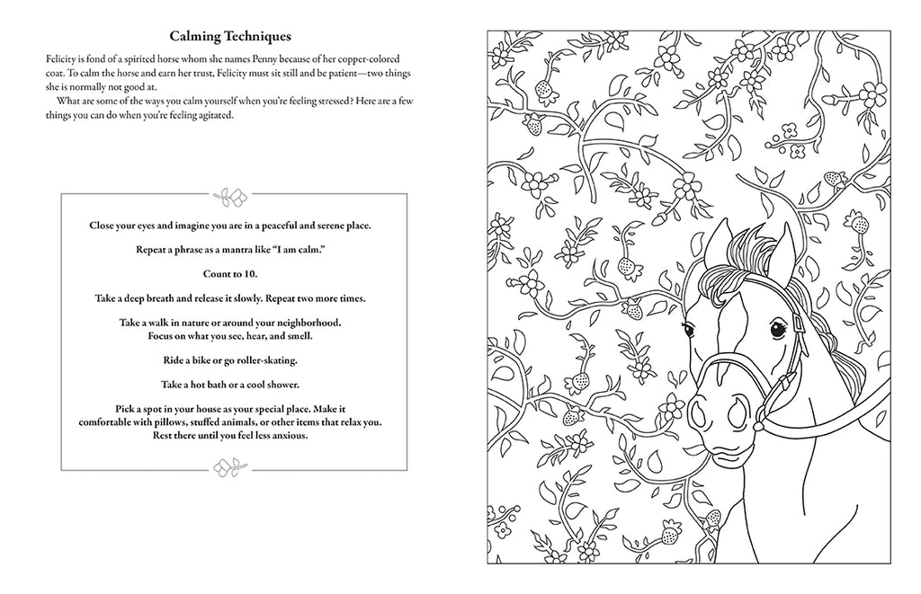 American Girl Coloring Journal