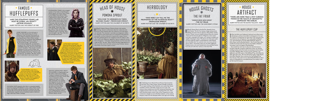 Harry Potter: Hufflepuff Magic