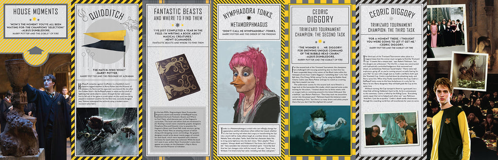 Harry Potter: Hufflepuff Magic