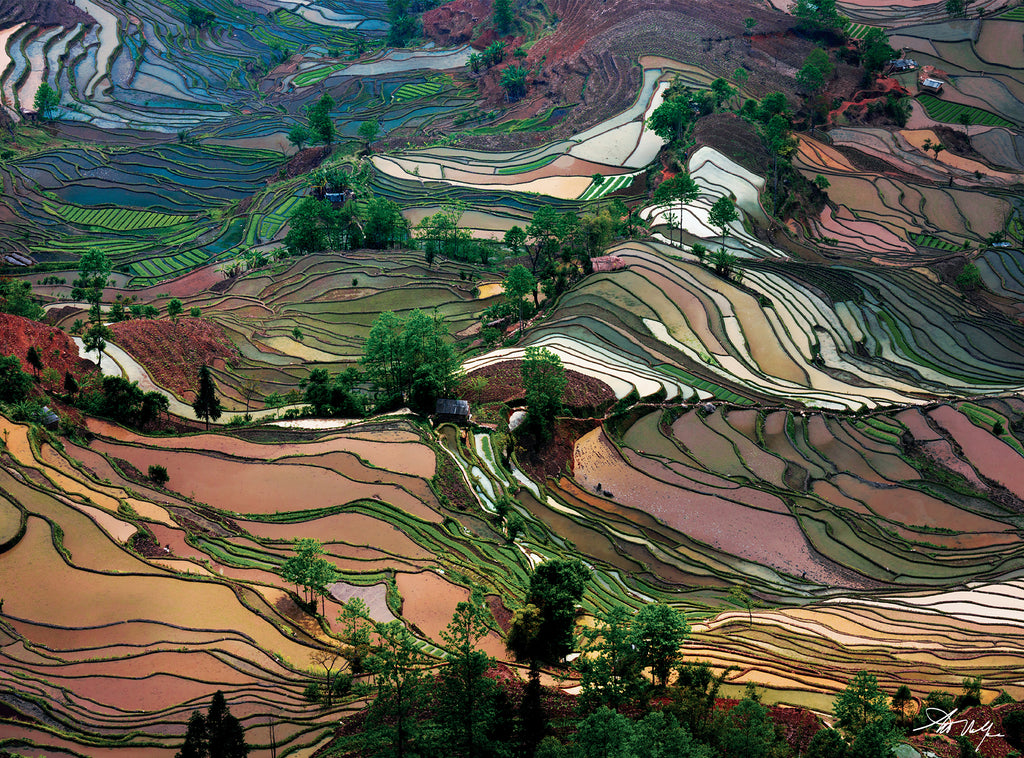 Art Wolfe: Rice Terraces